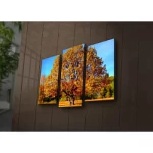 3PAT?ACT-26 Multicolor Decorative LED Lighted Canvas Painting (3 Pieces)