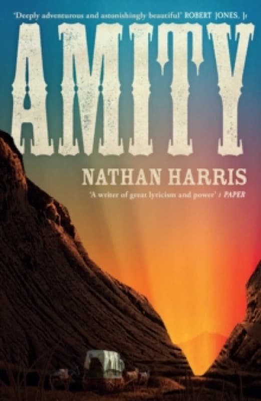 Amity. Hardback. By Nathan Harris Books