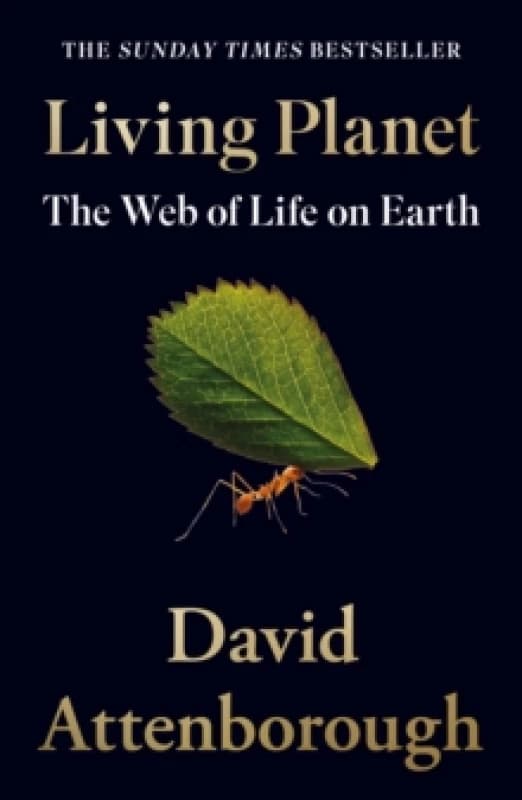 Living Planet : The Web of Life on Earth Paperback / softback