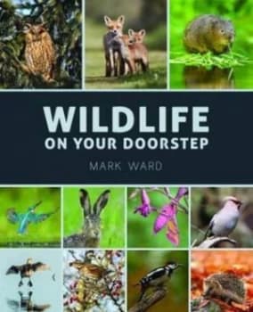 Wildlife on Your Doorstep by Mark Ward Paperback