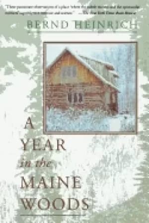 year in the maine woods