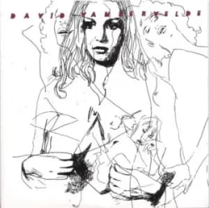 Jacket/Murder in Michigan by David Vandervelde Vinyl Album