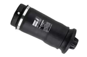 BILSTEIN Air Spring, suspension MERCEDES-BENZ 40-247687 1643200225,1643200325,1643200425 1643200625,1643200725,1643200825,1643200925,1643201025
