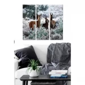 MDF1940368 Multicolor Decorative MDF Painting (3 Pieces)