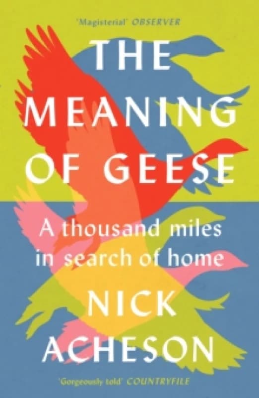 The Meaning of Geese : A Thousand Miles in Search of Home Paperback / softback