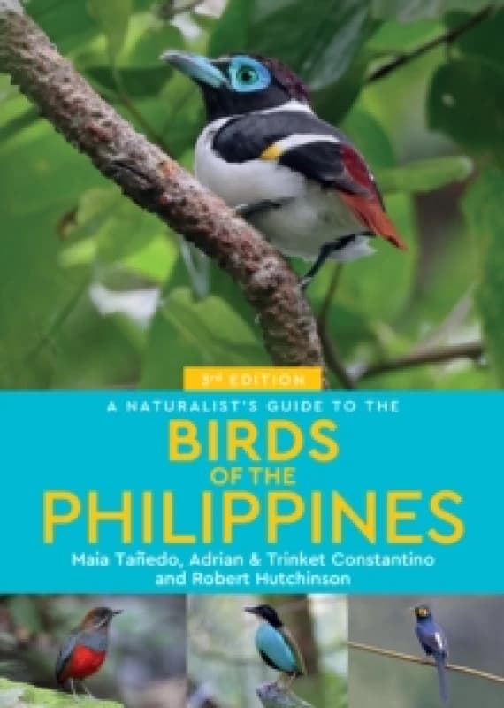 A Naturalist's Guide to the Birds of the Philippines Paperback / softback