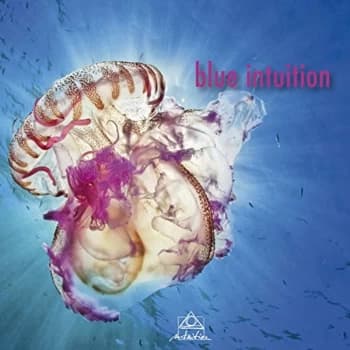 Various Artists - Blue Intuition CD
