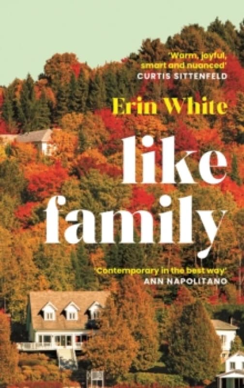 Like Family Paperback / softback