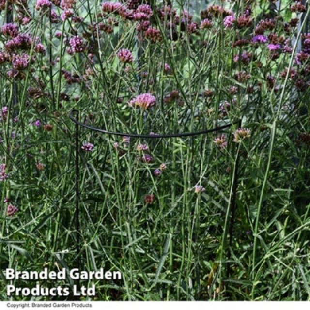 Garden Gear Half Round Plant Support H40Cm X 1
