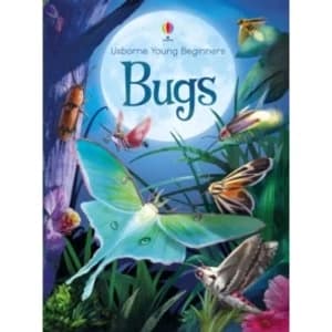 Young Beginners Bugs