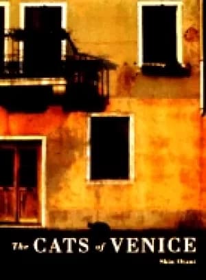 cats of venice