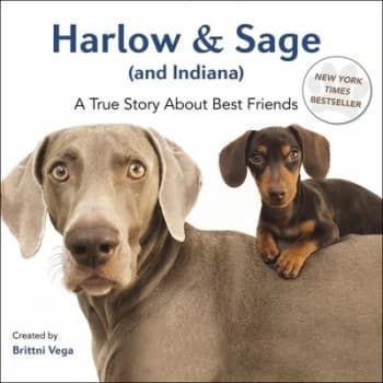 Harlow & Sage and Indiana by Brittni Vega
