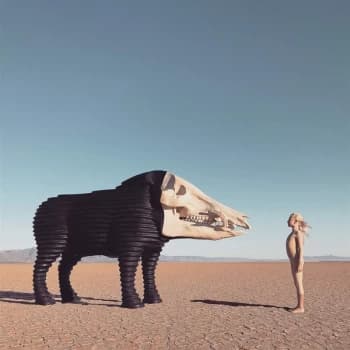 Man Man - Dream Hunting In The Valley Of The In-Between Vinyl