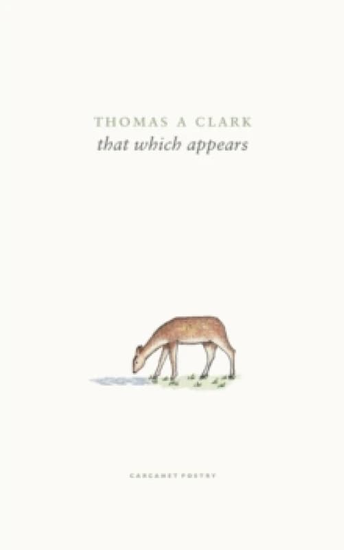 That Which Appears Paperback / softback