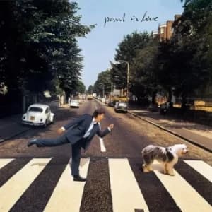 Paul Is Live by Paul McCartney CD Album