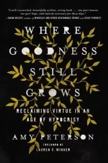 Where Goodness Still Grows : Reclaiming Virtue in an Age of Hypocrisy