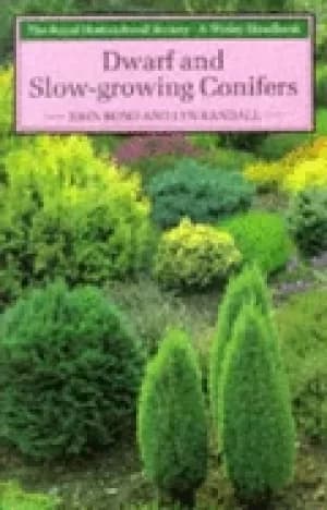 dwarf and slow growing conifers the royal hoticultural society a wisley han