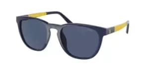Polo Ralph Lauren Sunglasses PH4182U 547080