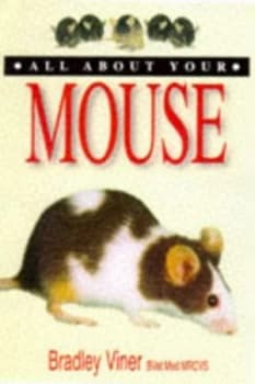 All about Your Mouse by Bradley Viner Paperback
