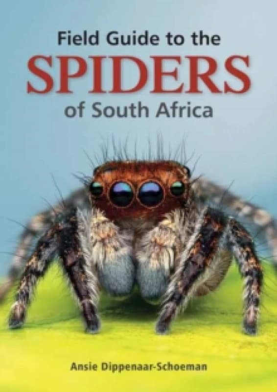 Field Guide to the Spiders of South Africa Paperback / softback