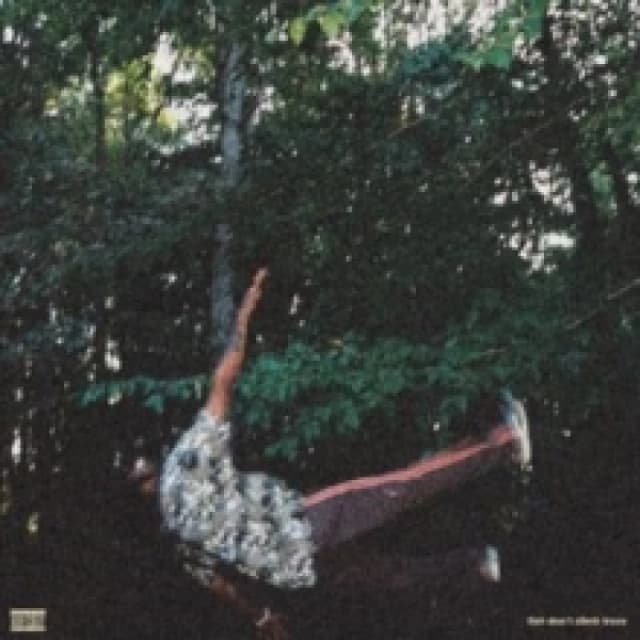 Fish Don't Climb Trees Vinyl