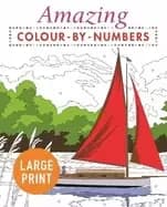 amazing colour by numbers large print