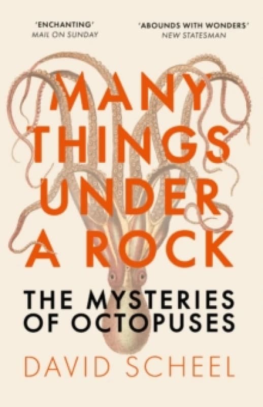 Many Things Under a Rock. Paperback. By David Scheel Books