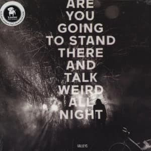Valleys - Are You Going To Stand There & Vinyl