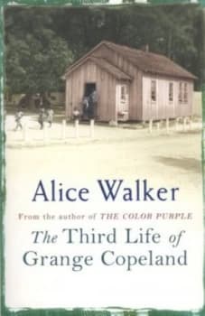 The Third Life of Grange Copeland by Alice Walker Book