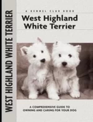 west highland white terrier