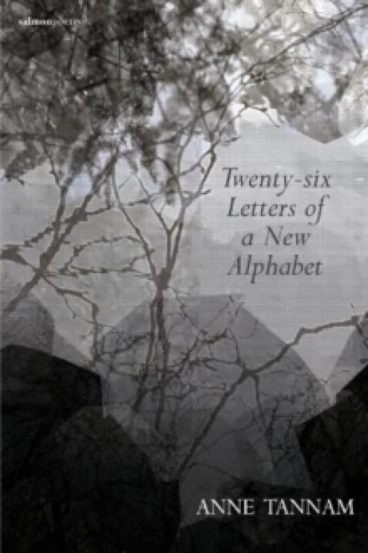 Twenty-six Letters of a New Alphabet Paperback / softback