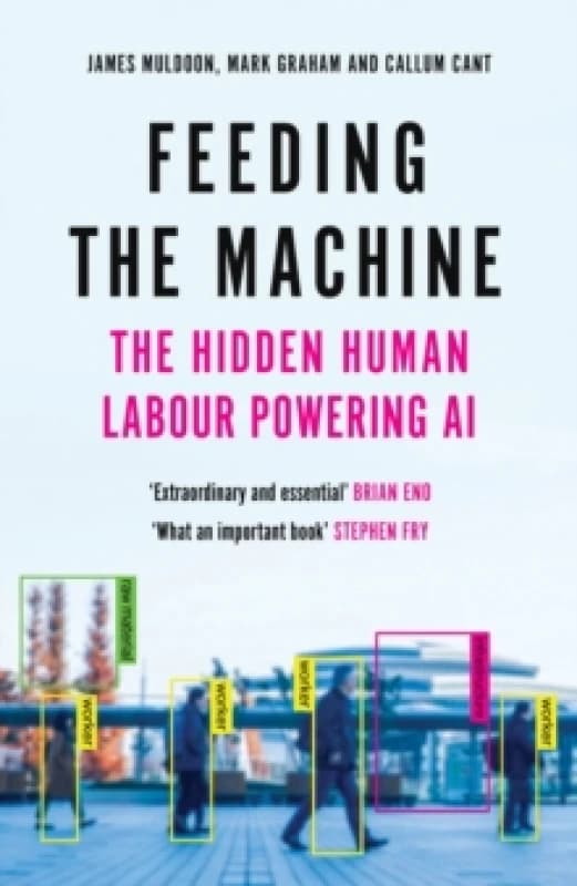 Feeding The Machine : The Hidden Human Labour Powering AI Hardback