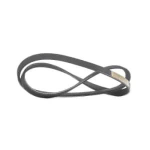 RIDEX V-ribbed belt RENAULT,HYUNDAI,NISSAN 305P0374 B59515909,B59615909,MD130766 MD144639,MD186126,MD187458,111172050A10JP,1172050A00,1172050A10