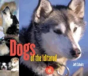 dogs of the iditarod
