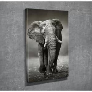 DC064 Multicolor Decorative Canvas Painting