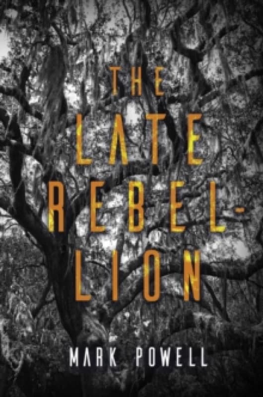 The Late Rebellion Paperback / softback