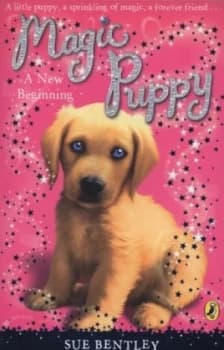 A New Beginning by Sue Bentley Paperback