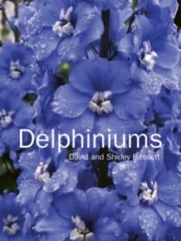 Delphiniums by David Bassett Hardback