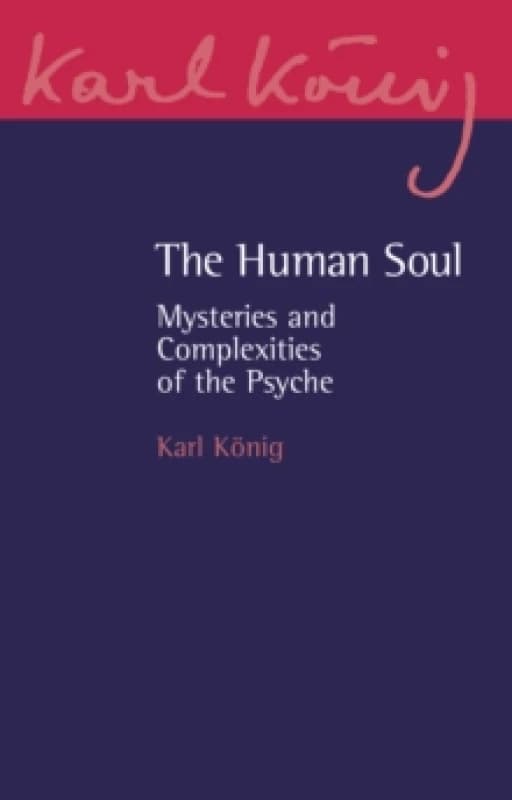 The Human Soul : Mysteries and Complexities of the Psyche Paperback / softback