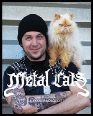 metal cats