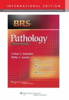 Pathology by Arthur S Schneider
