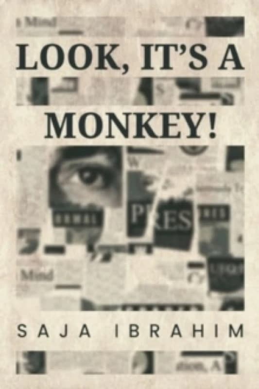 Look, It's a Monkey! Paperback / softback
