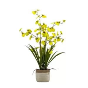 Crossland Grove Potted Oncidium Orchid (real Touch) Yellow H640Mm