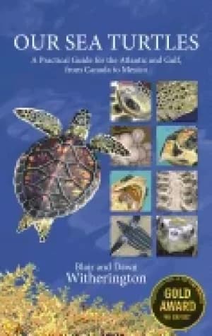 our sea turtles a practical guide for the atlantic and gulf from canada to