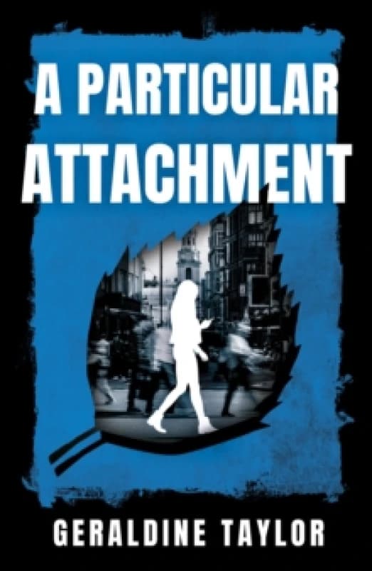 A Particular Attachment Paperback / softback