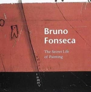 Bruno Fonseca by Alan Jenkins Book