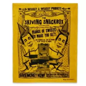 Decorsome x Harry Potter Skiving Fleece Blanket - L