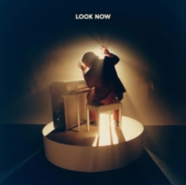 Look Now Vinyl