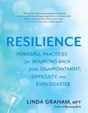 resilience powerful practices for bouncing back from disappointment diffic