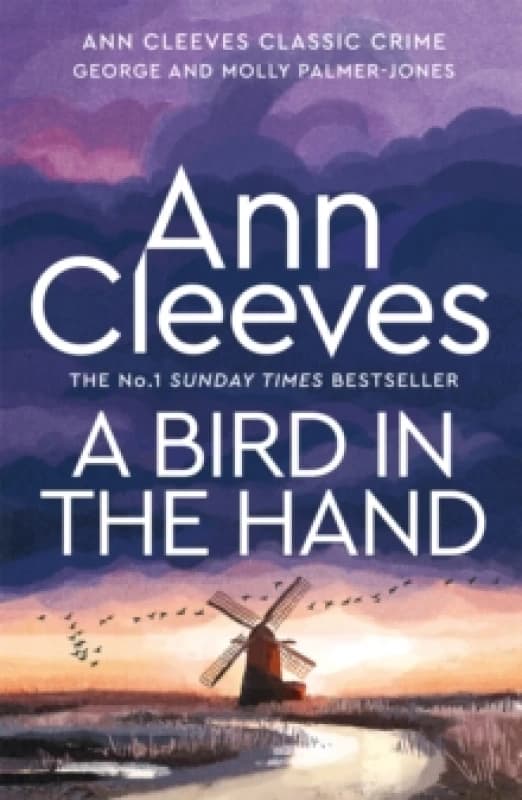 A Bird in the Hand Paperback / softback